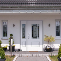 Eingangstür mit hochwertigem Dekor kaufen