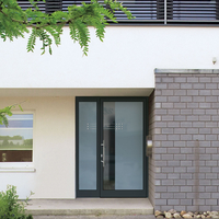 Aluminium Haustür mit Glasfüllung kaufen