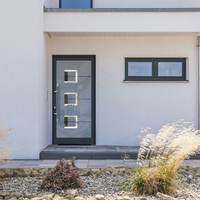 Haustür mit Ornament-Verglasung kaufen
