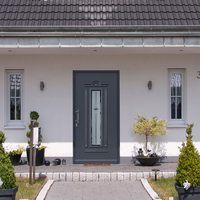 Graue Aluminiumtür mit hochwertigem Dekor kaufen