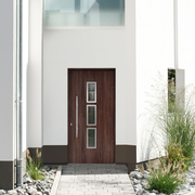 Haustür mit Glaselementen und Edelstahl kaufen
