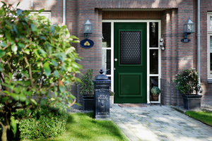 Grüne Haustür mit Seitenteilen aus Sicherheitsglas kaufen