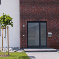 Haustür grau mit satiniertem Glas kaufen
